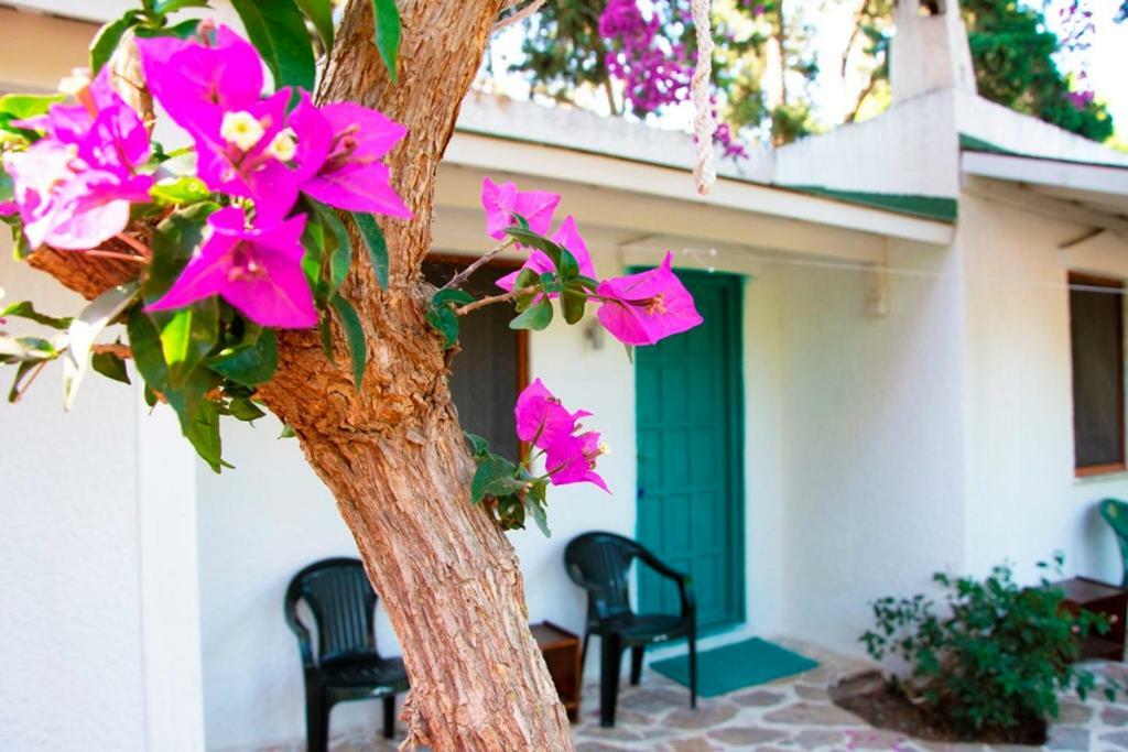 Myndos Bed & Breakfast Bodrum Zewnętrze zdjęcie